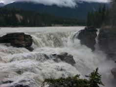 Athabasca falls 1