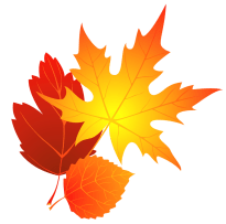 transparent_fall_leaves_clipart